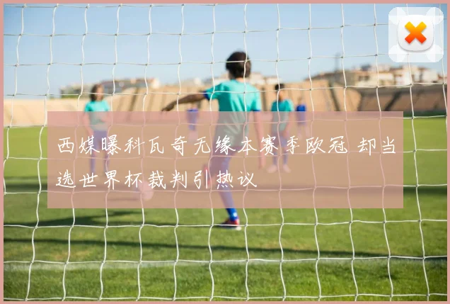 西媒曝科瓦奇无缘本赛季欧冠 却当选世界杯裁判引热议
